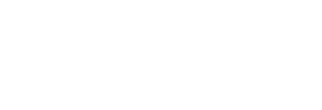 The Circus Fix