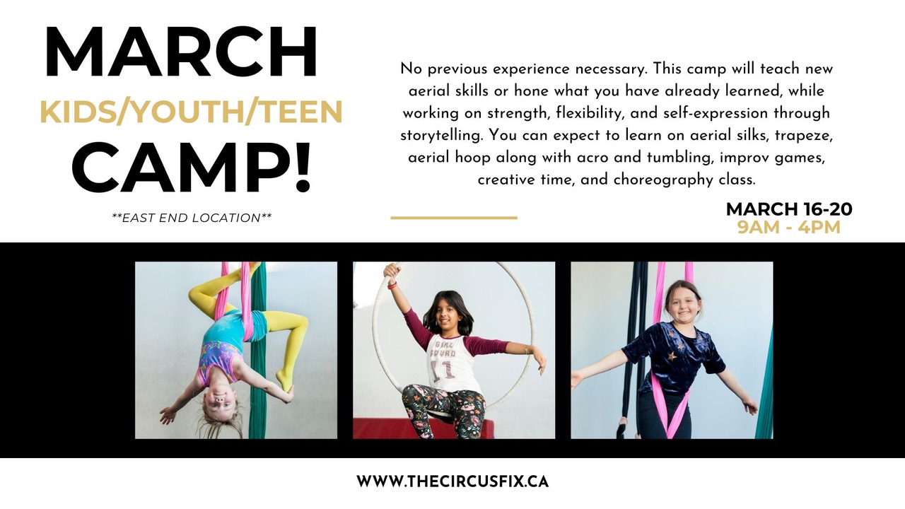 March Break Aerial Arts Camp for Kids/Youth/Teen ⋆ The Circus Fix